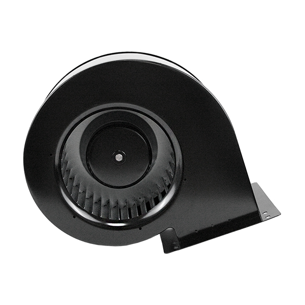 Stylish Fans for Every Space